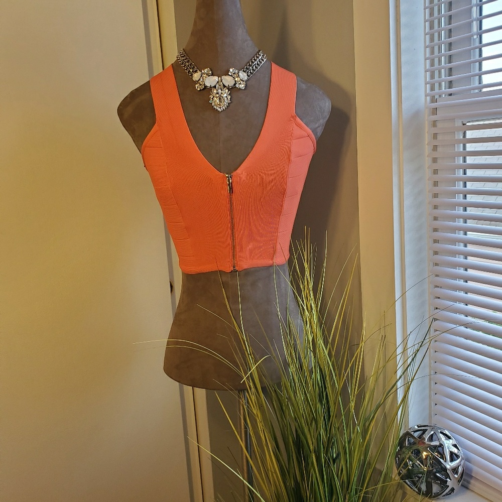 Bebe Crop Top